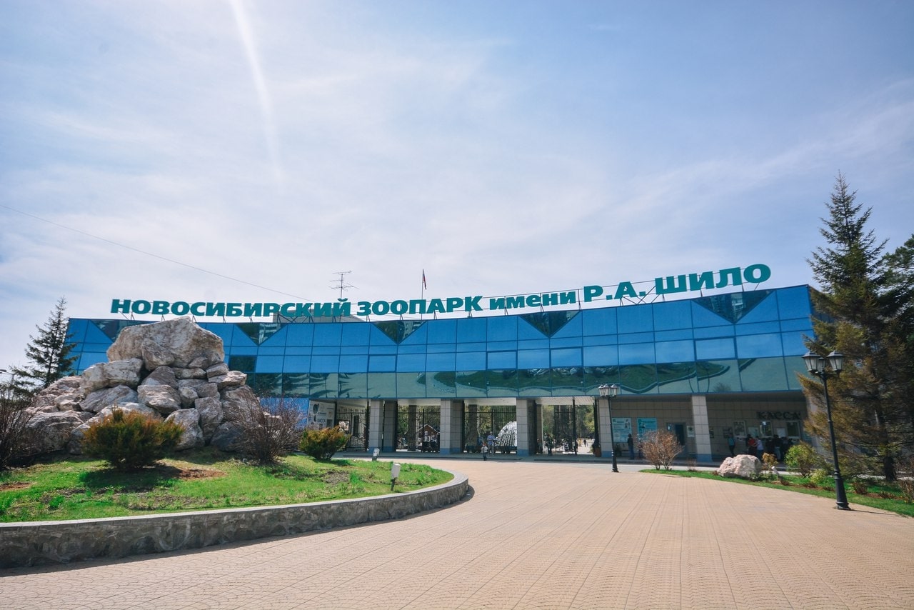 Заманчивая природа, или Что посмотреть в Новосибирском зоопарке?